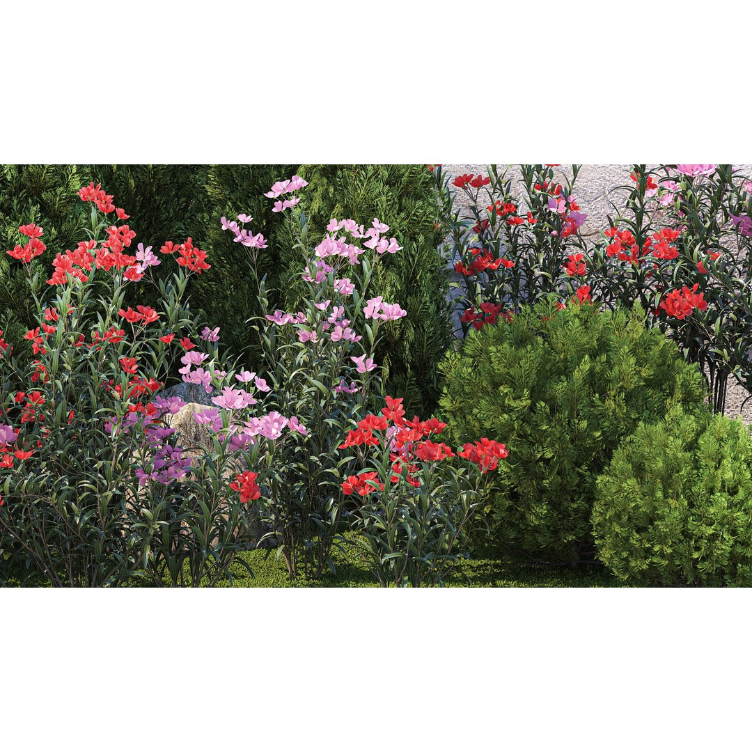 Beautiful Garden 3D Model – Decorative Cypress, Thuja & Oleander - View 6