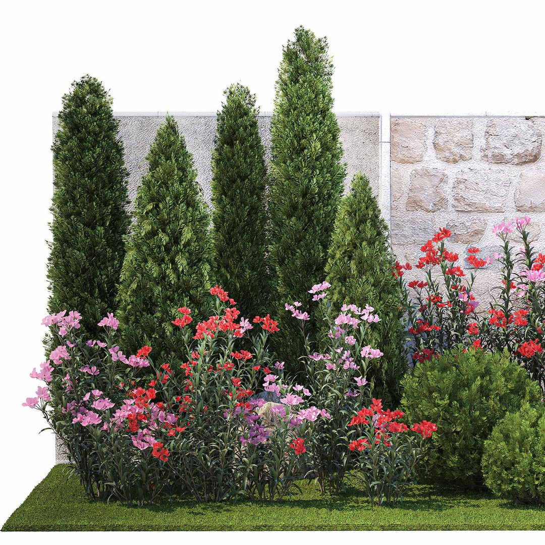 Beautiful Garden 3D Model – Decorative Cypress, Thuja & Oleander - View 9