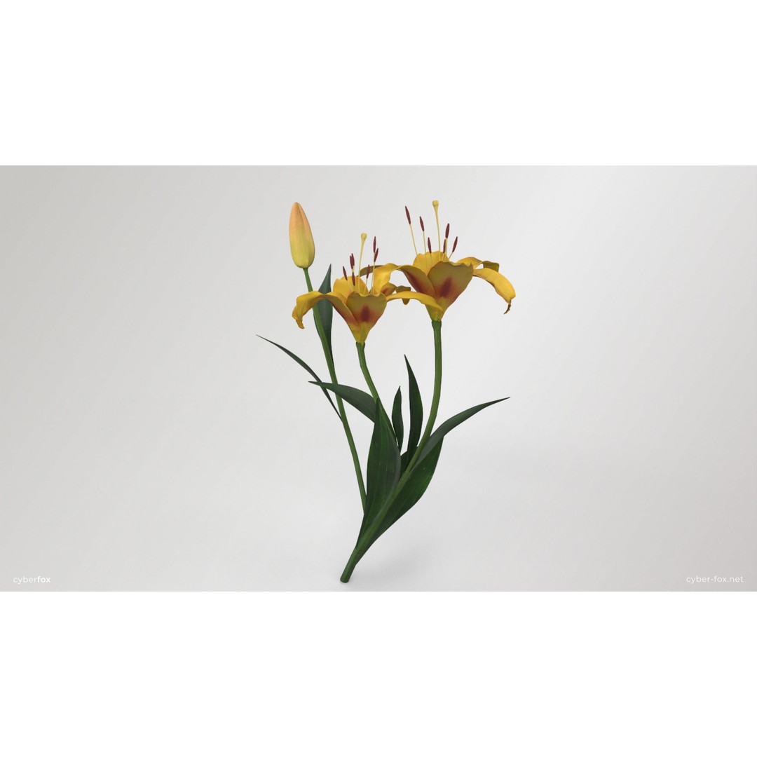 Yellow Lilies 3D Model – Low Poly Game Asset, FBX, OBJ, PBR Textures - View 3