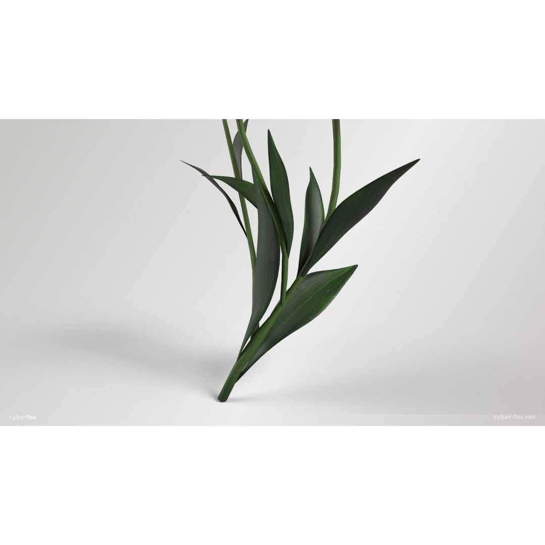 Yellow Lilies 3D Model – Low Poly Game Asset, FBX, OBJ, PBR Textures - View 8