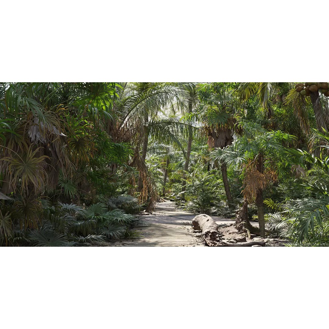 Tropical Palm 3D Model – High-Quality Plant Collection, FBX, Blender - View 2