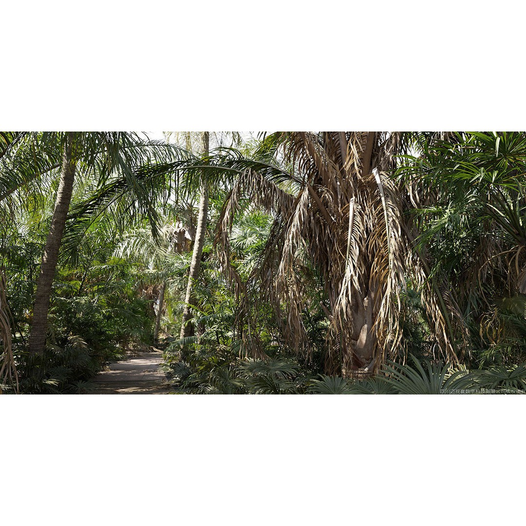 Tropical Palm 3D Model – High-Quality Plant Collection, FBX, Blender - View 3