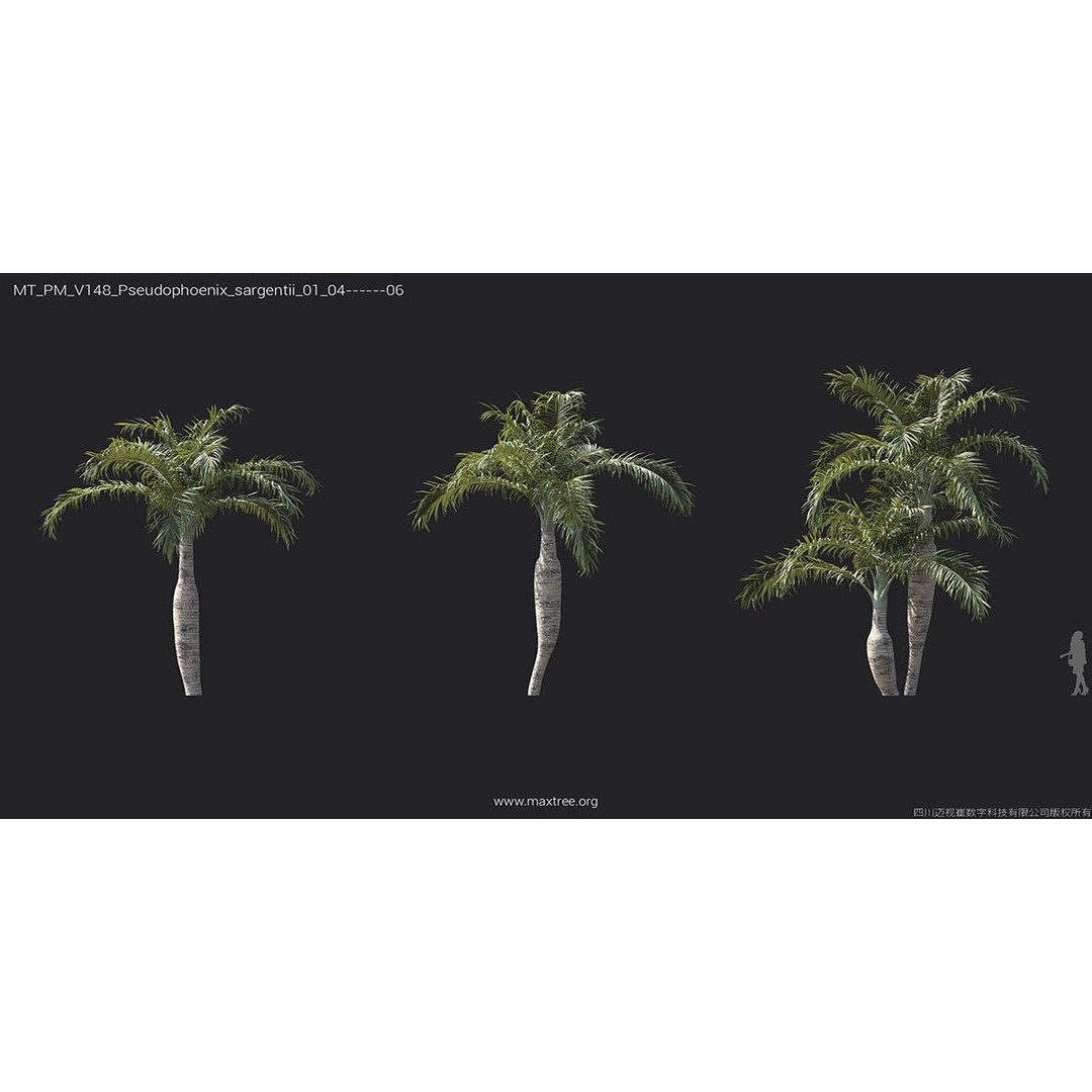 Tropical Palm 3D Model – High-Quality Plant Collection, FBX, Blender - View 35