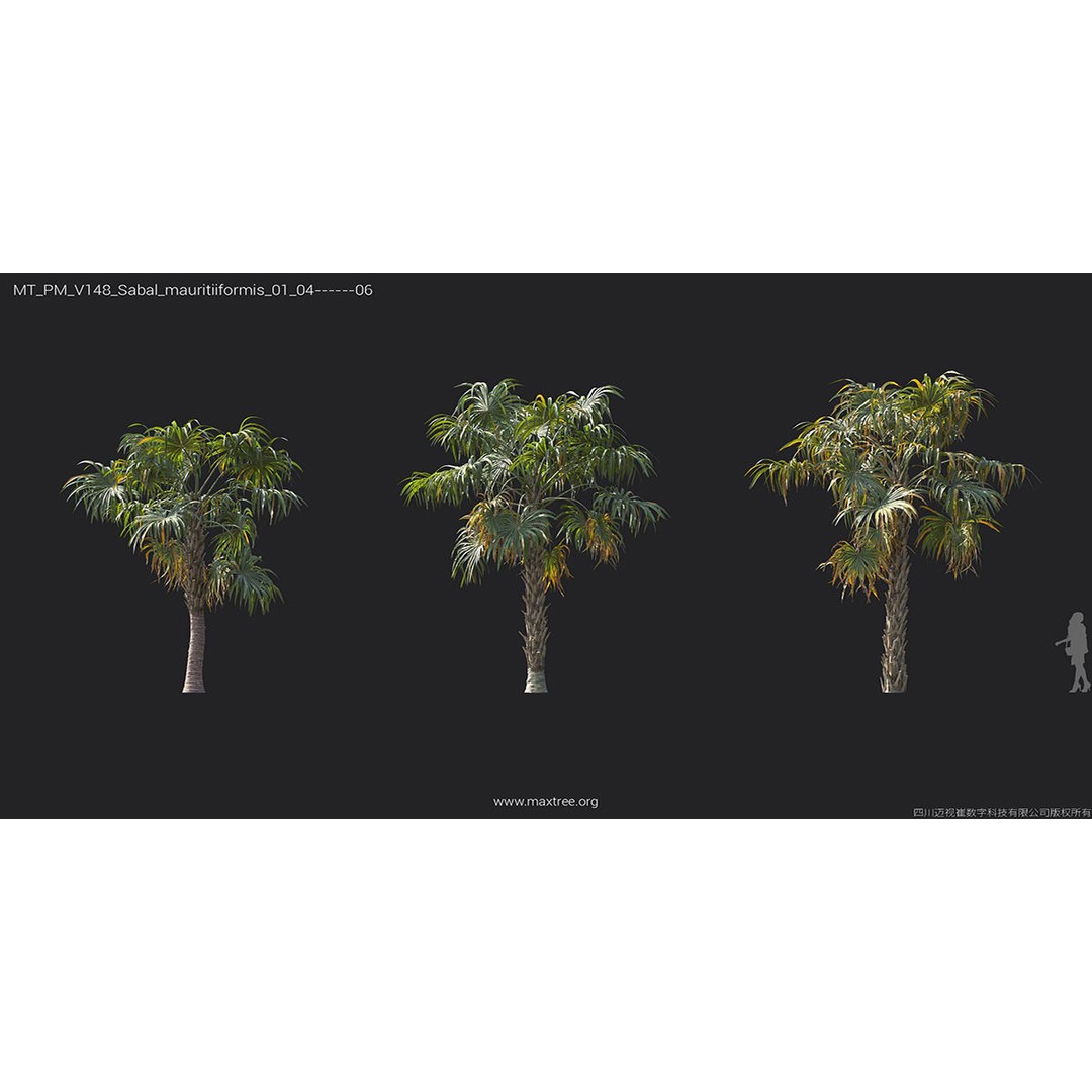 Tropical Palm 3D Model – High-Quality Plant Collection, FBX, Blender - View 38