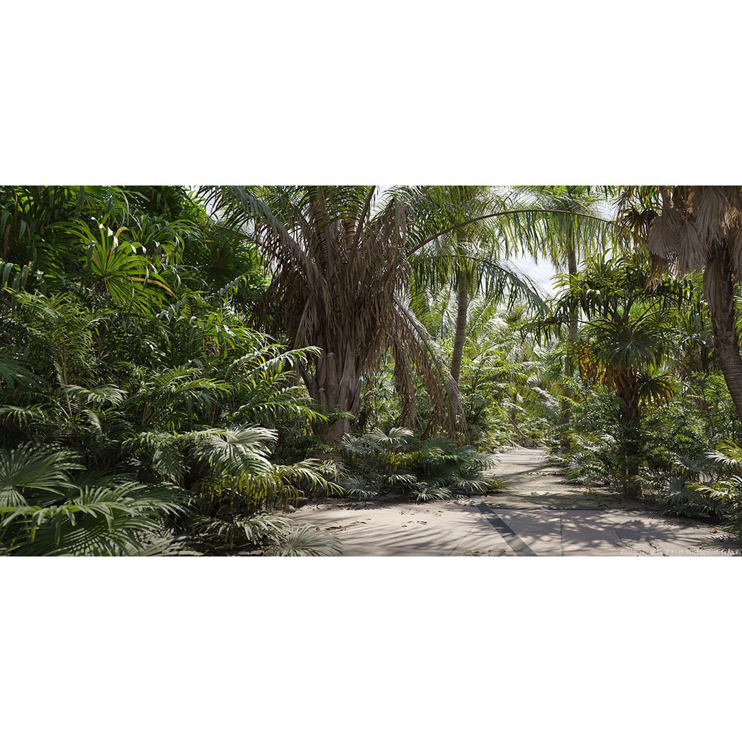 Tropical Palm 3D Model – High-Quality Plant Collection, FBX, Blender - View 4