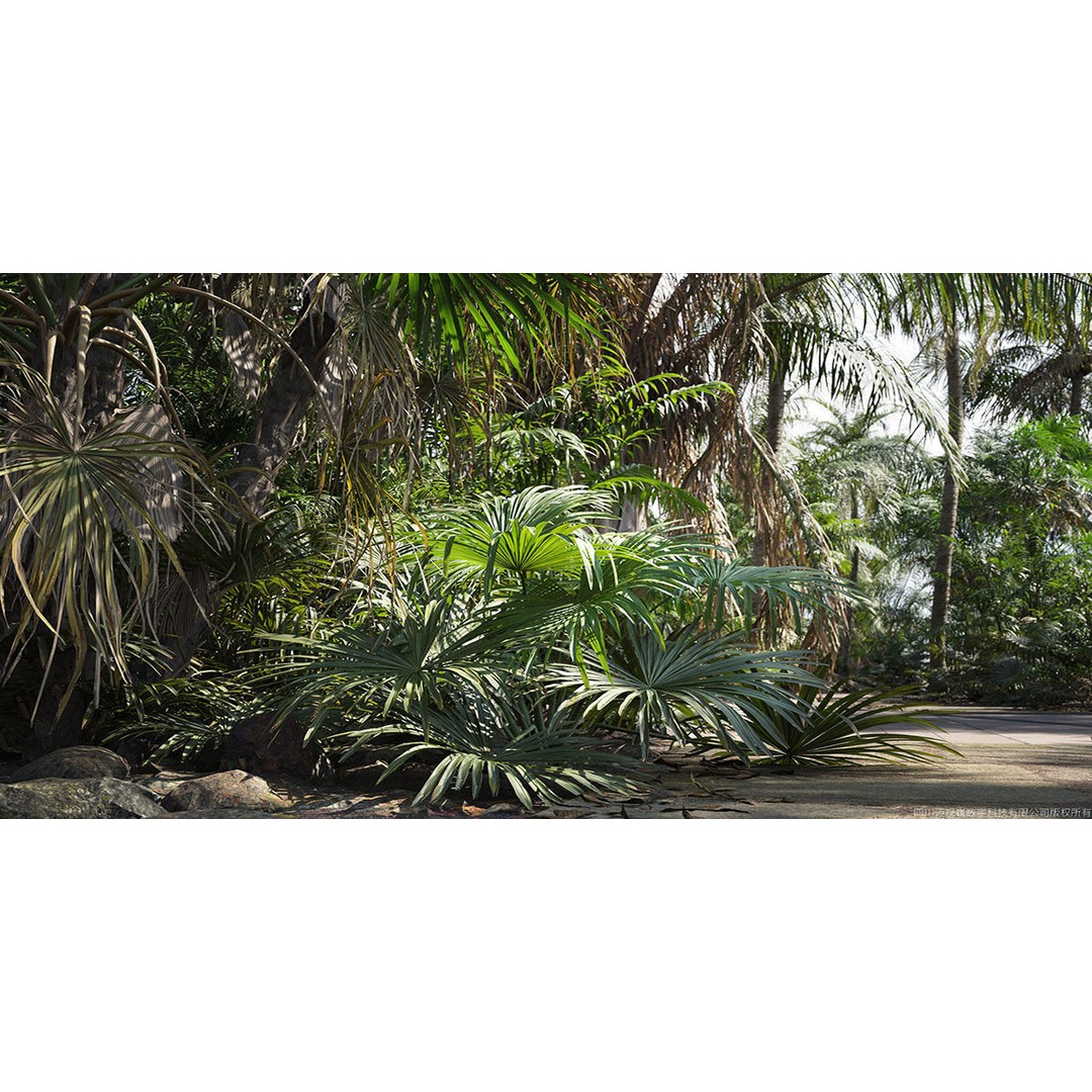 Tropical Palm 3D Model – High-Quality Plant Collection, FBX, Blender - View 5