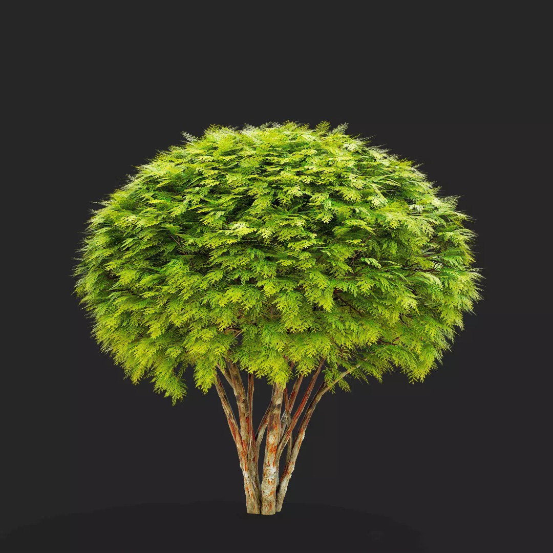 Thuja Occidentalis Golden Globe 3D Model – High Poly PBR Plant Asset, FBX, OBJ - View 4