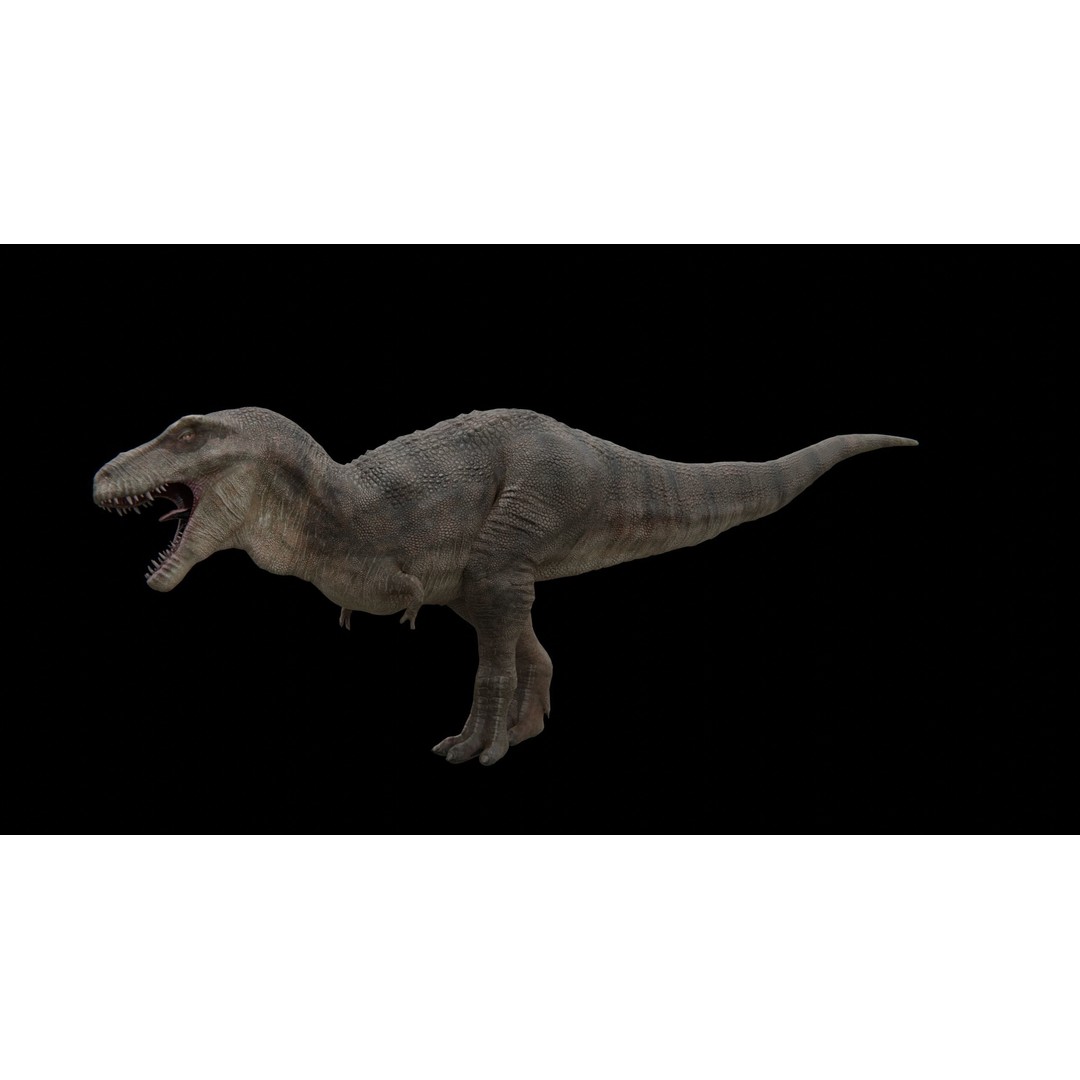 Tyrannosaurus Rex 3D Model – Low Poly Rigged Dinosaur, FBX - View 11