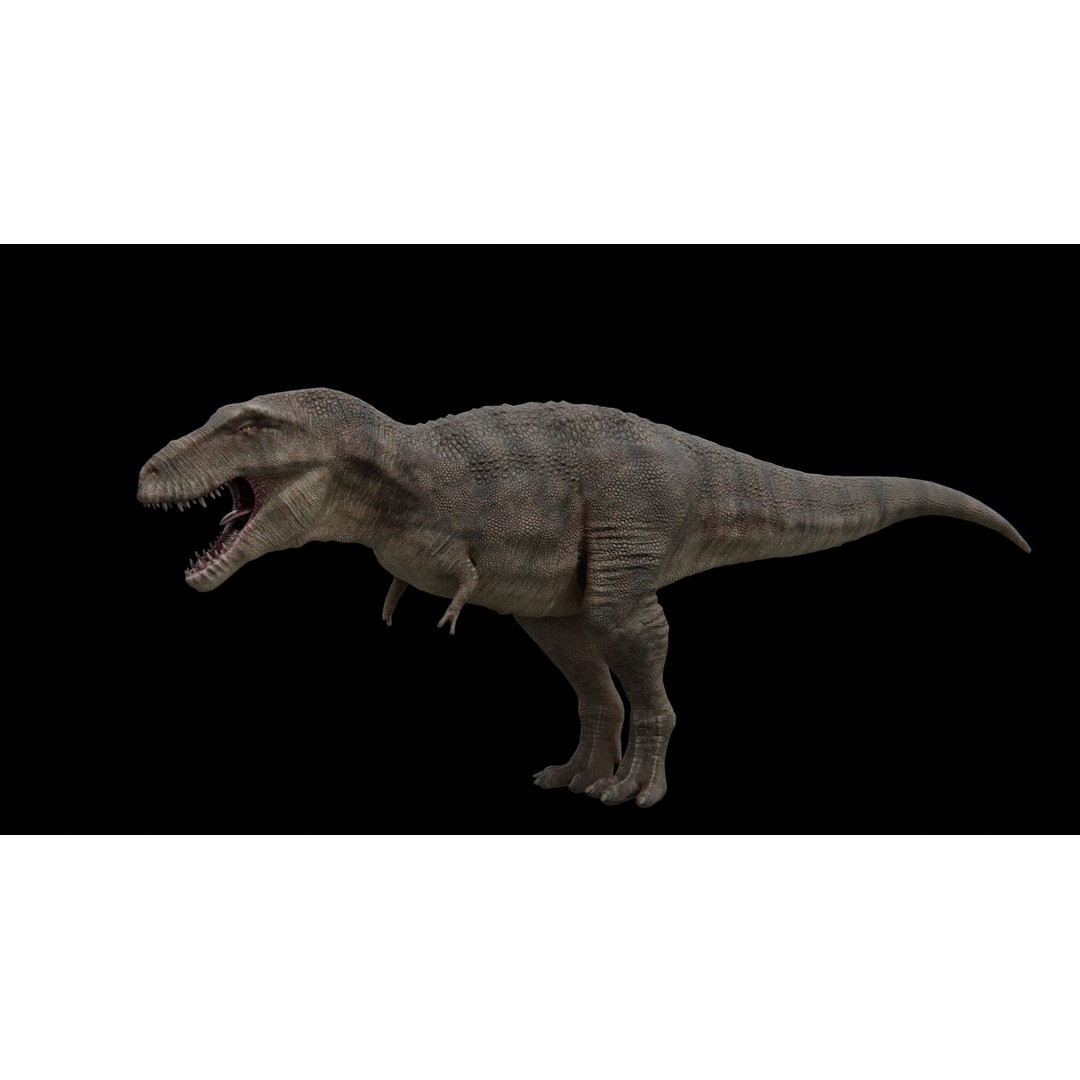 Tyrannosaurus Rex 3D Model – Low Poly Rigged Dinosaur, FBX - View 12