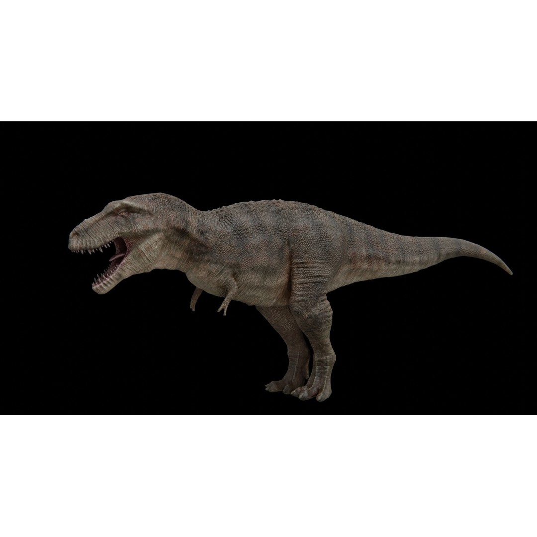 Tyrannosaurus Rex 3D Model – Low Poly Rigged Dinosaur, FBX - View 13