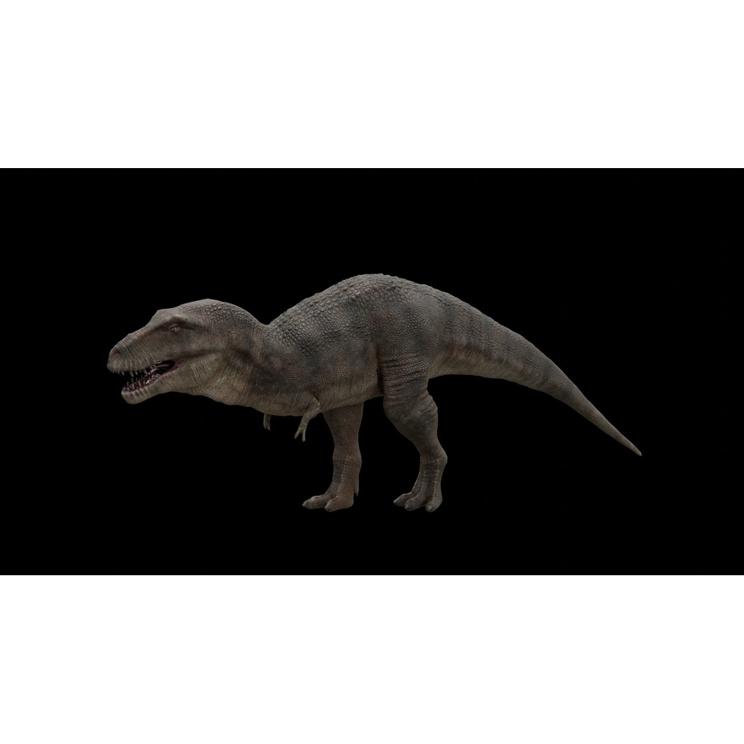 Tyrannosaurus Rex 3D Model – Low Poly Rigged Dinosaur, FBX - View 14