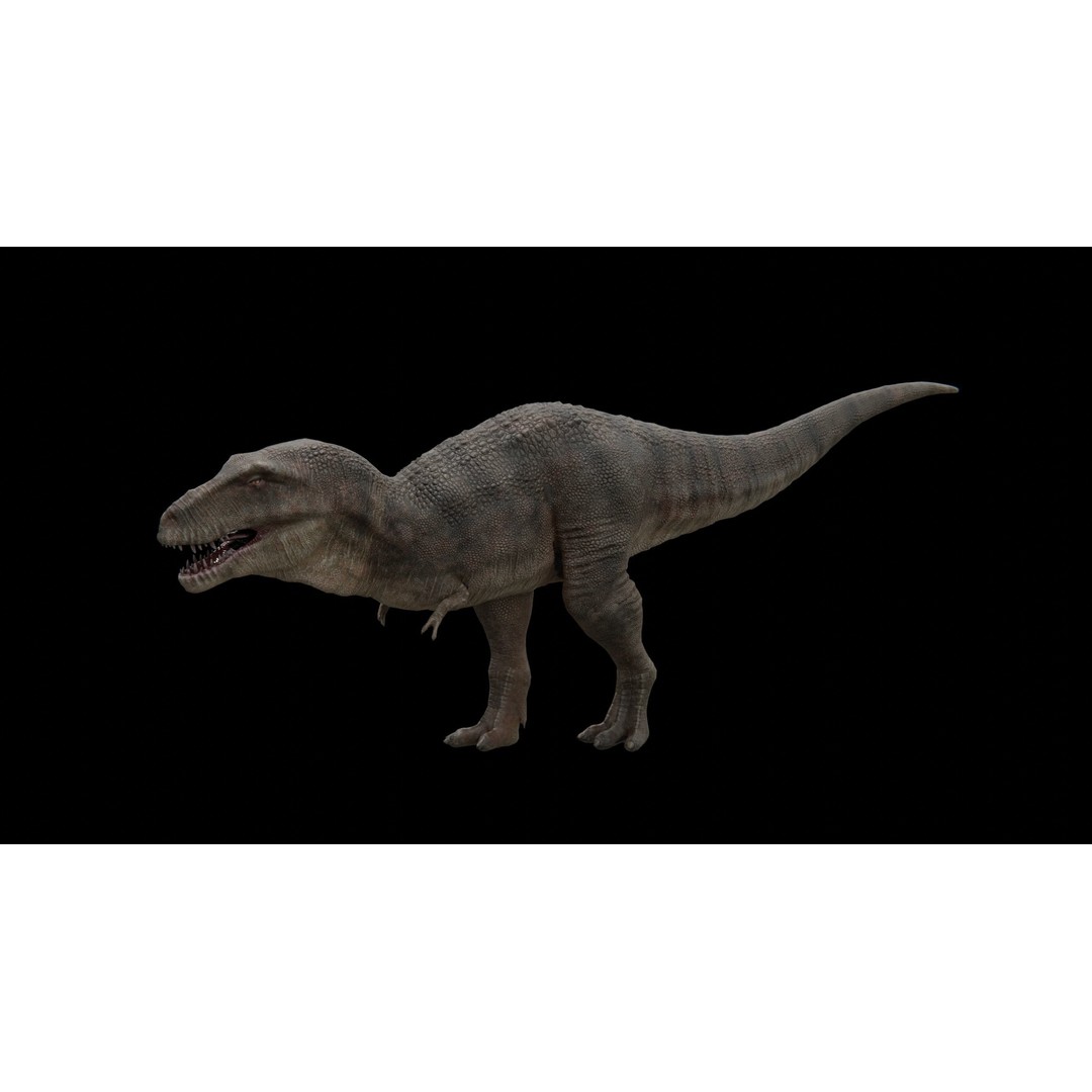 Tyrannosaurus Rex 3D Model – Low Poly Rigged Dinosaur, FBX - View 15