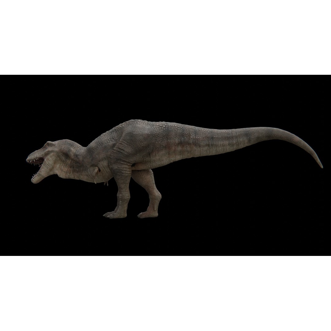 Tyrannosaurus Rex 3D Model – Low Poly Rigged Dinosaur, FBX - View 16