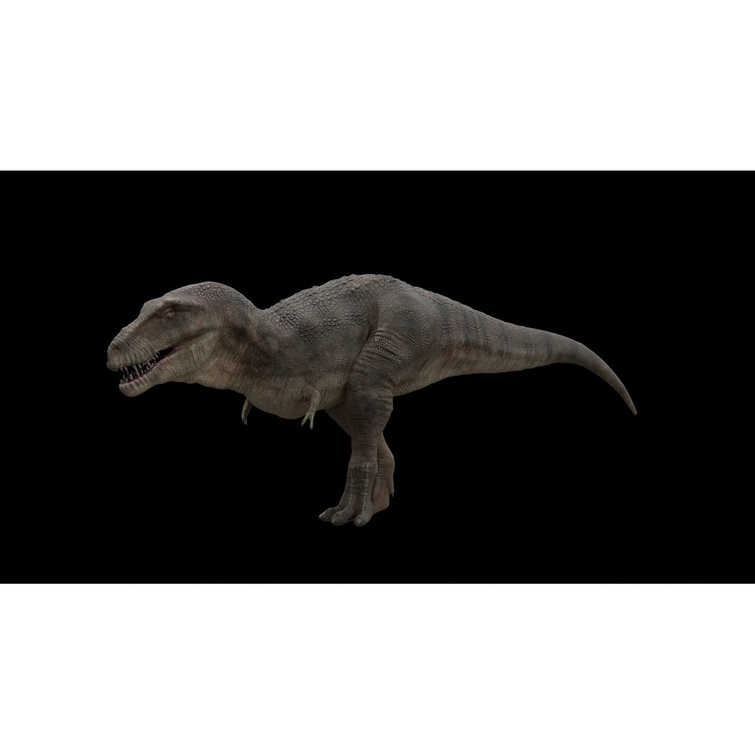 Tyrannosaurus Rex 3D Model – Low Poly Rigged Dinosaur, FBX - View 17
