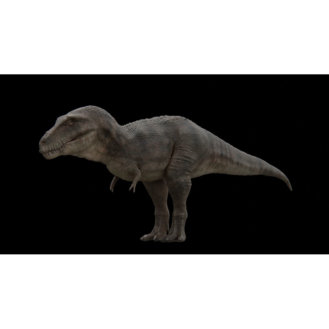 Tyrannosaurus Rex 3D Model – Low Poly Rigged Dinosaur, FBX - View 18