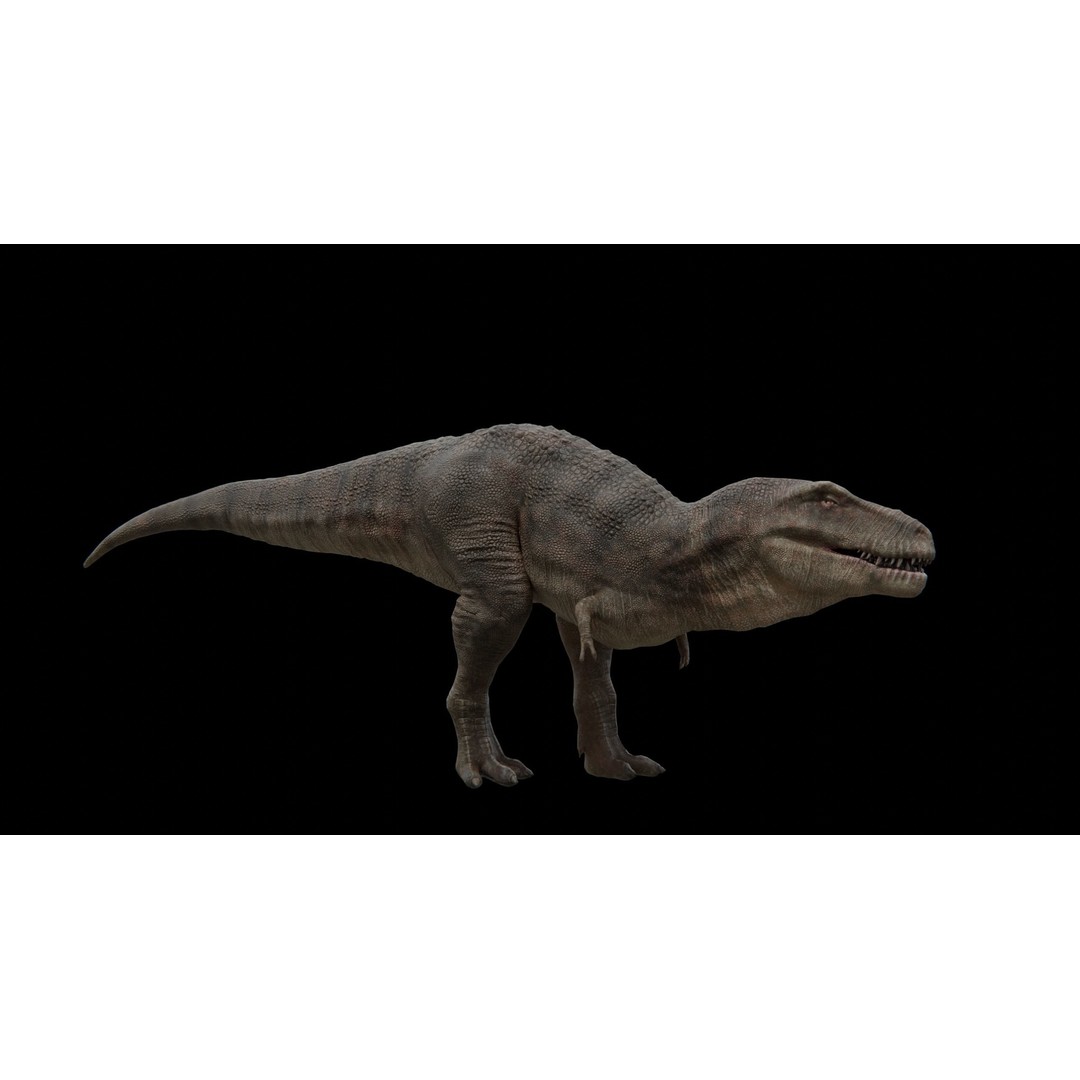 Tyrannosaurus Rex 3D Model – Low Poly Rigged Dinosaur, FBX - View 19