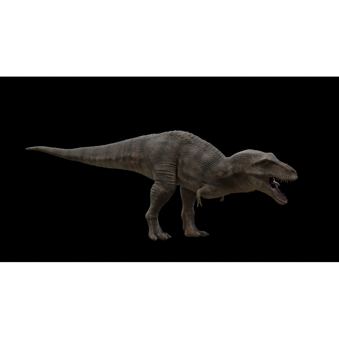 Tyrannosaurus Rex 3D Model – Low Poly Rigged Dinosaur, FBX - View 20