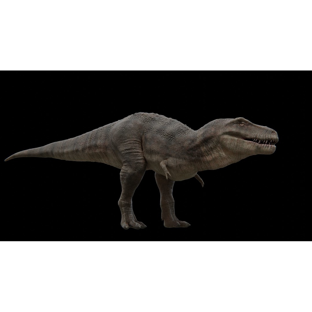 Tyrannosaurus Rex 3D Model – Low Poly Rigged Dinosaur, FBX - View 21