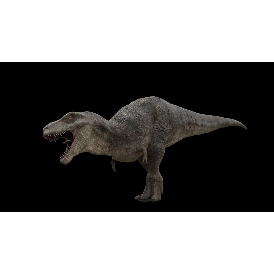 Tyrannosaurus Rex 3D Model – Low Poly Rigged Dinosaur, FBX - View 22
