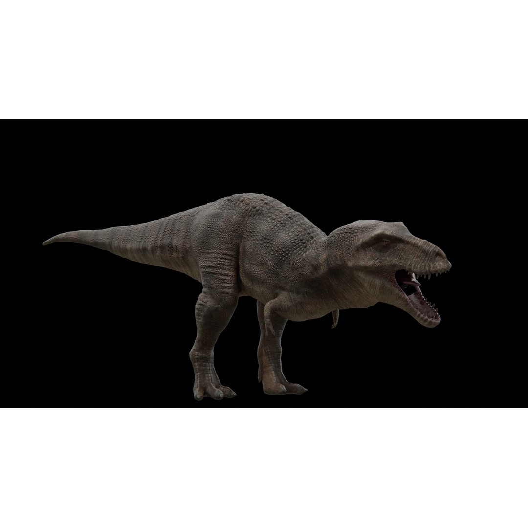 Tyrannosaurus Rex 3D Model – Low Poly Rigged Dinosaur, FBX - View 23