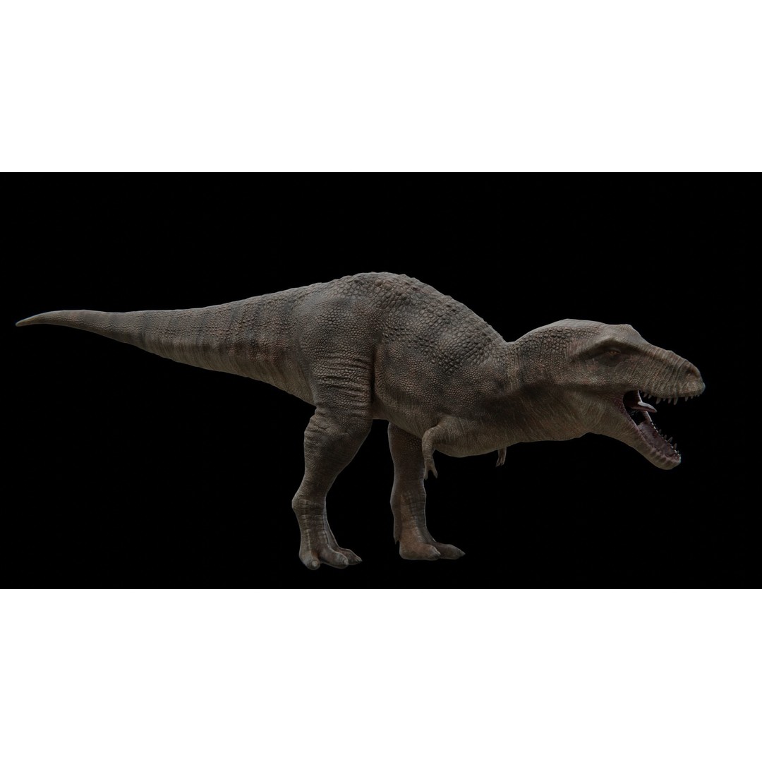 Tyrannosaurus Rex 3D Model – Low Poly Rigged Dinosaur, FBX - View 24