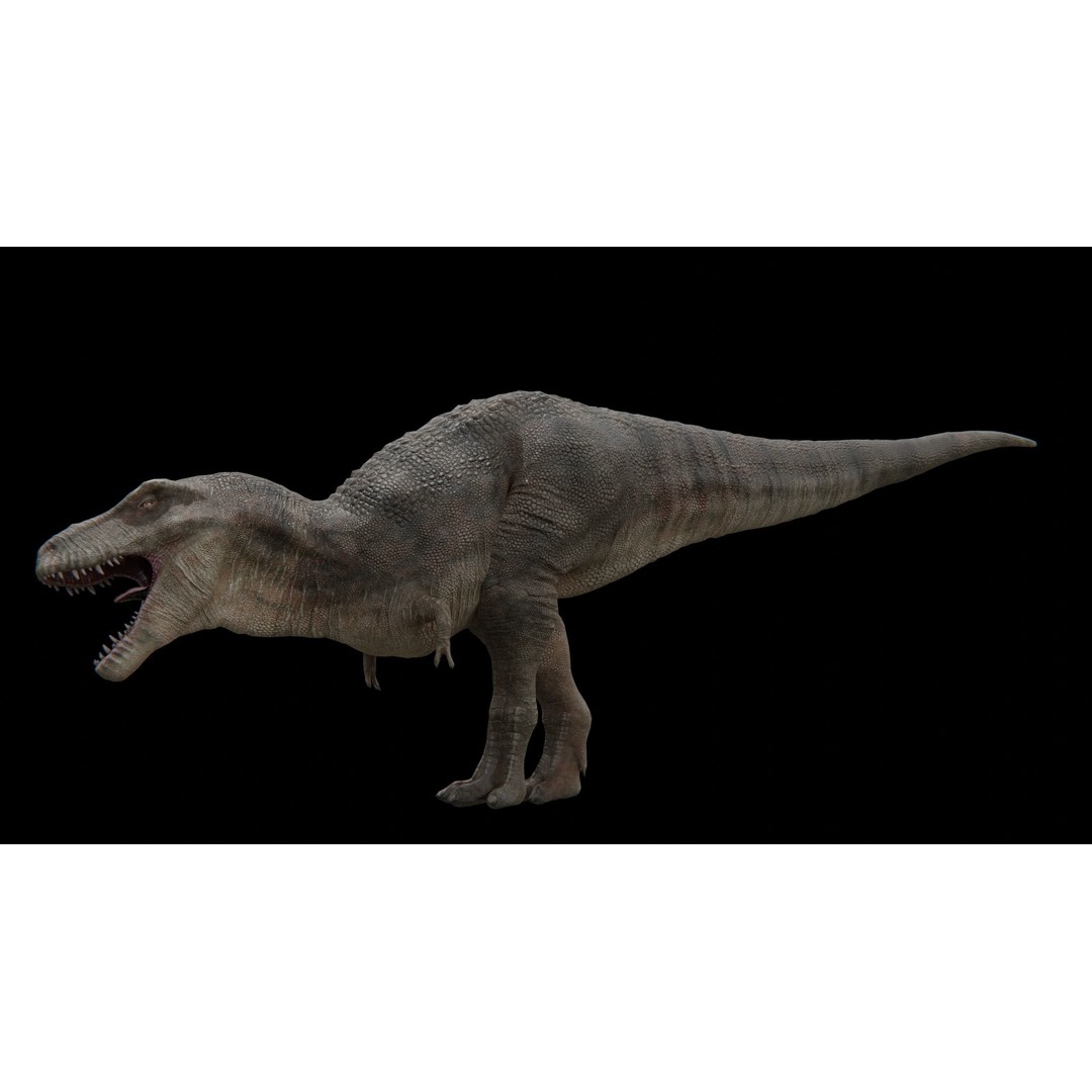 Tyrannosaurus Rex 3D Model – Low Poly Rigged Dinosaur, FBX - View 25