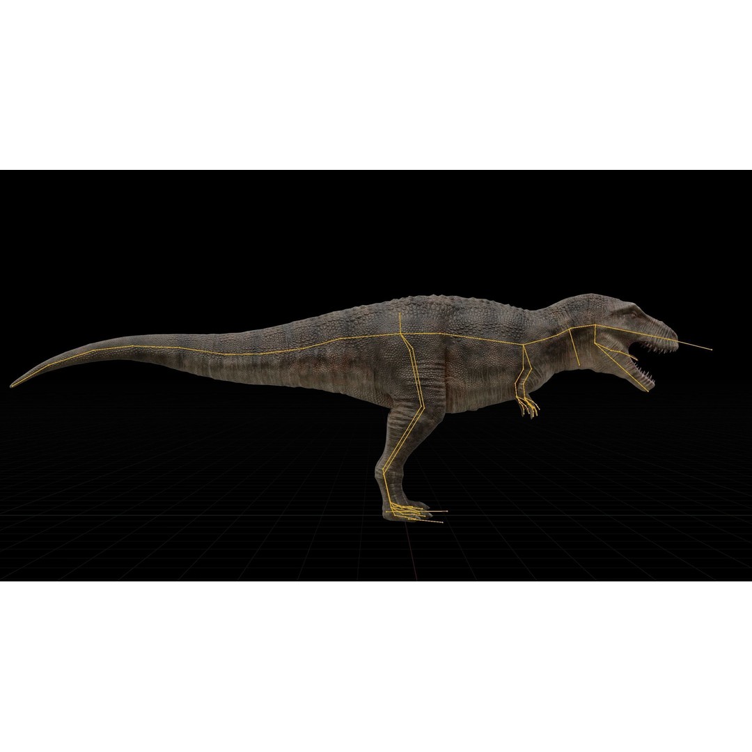 Tyrannosaurus Rex 3D Model – Low Poly Rigged Dinosaur, FBX - View 30