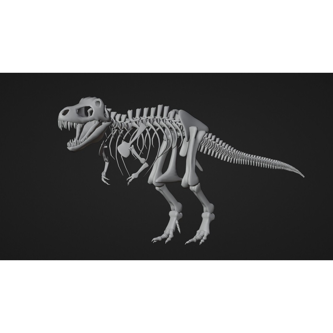 Tyrannosaurus Fossil 3D Model – Realistic Low Poly Dinosaur Asset, FBX - View 11