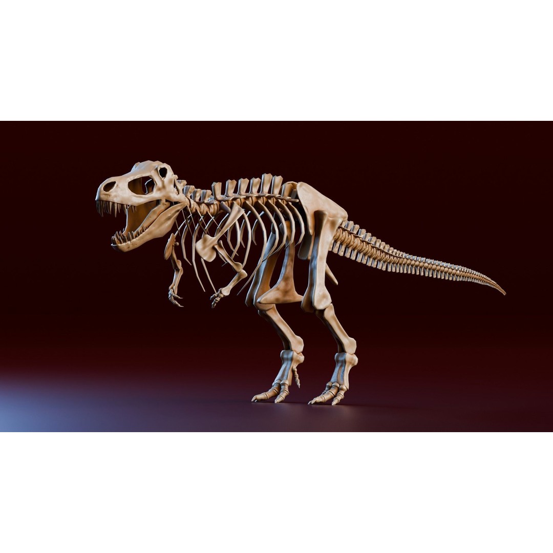 Tyrannosaurus Fossil 3D Model – Realistic Low Poly Dinosaur Asset, FBX - View 3
