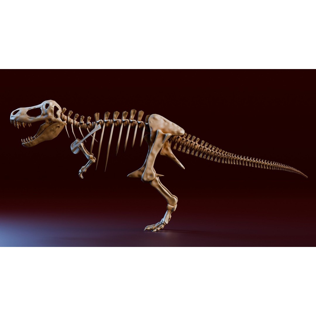 Tyrannosaurus Fossil 3D Model – Realistic Low Poly Dinosaur Asset, FBX - View 4