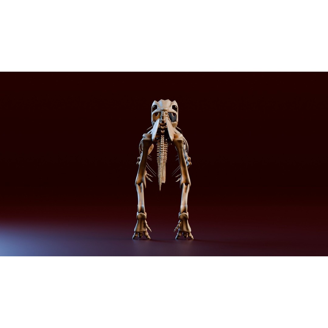 Tyrannosaurus Fossil 3D Model – Realistic Low Poly Dinosaur Asset, FBX - View 5