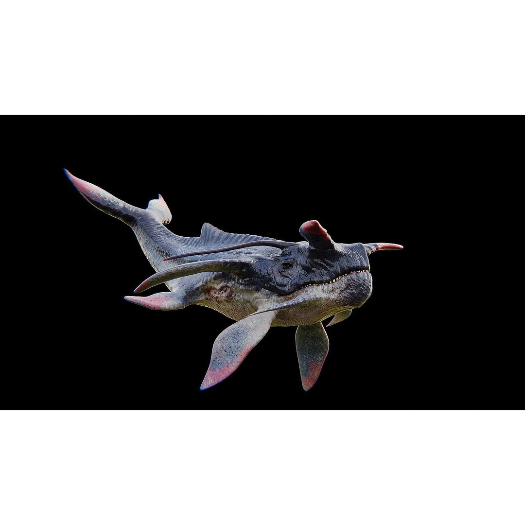 Alien Whale Creature 3D Model – Low Poly Rigged Animation, FBX