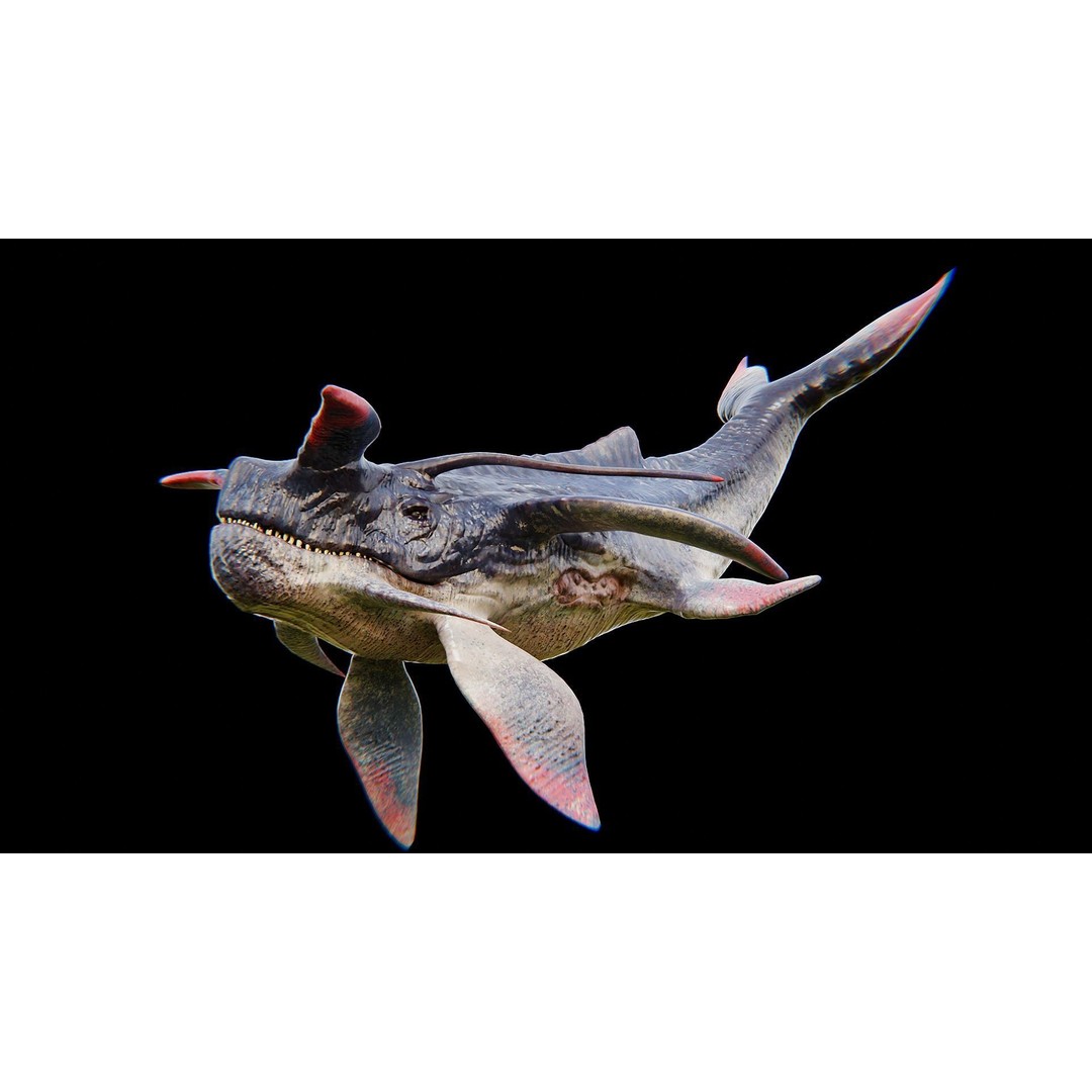 Alien Whale Creature 3D Model – Low Poly Rigged Animation, FBX - View 13