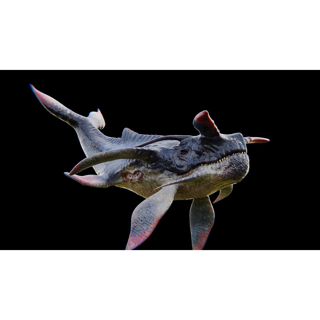 Alien Whale Creature 3D Model – Low Poly Rigged Animation, FBX - View 14