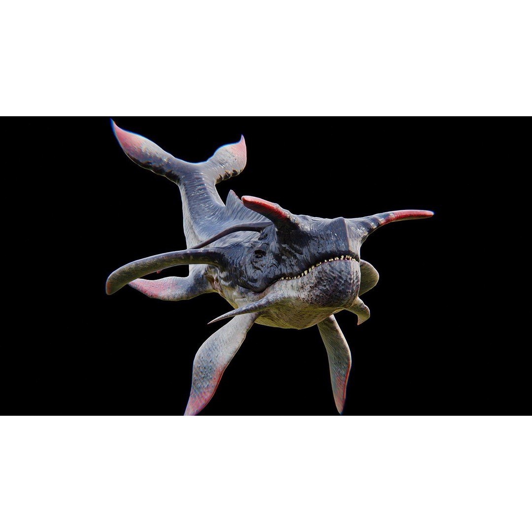 Alien Whale Creature 3D Model – Low Poly Rigged Animation, FBX - View 15