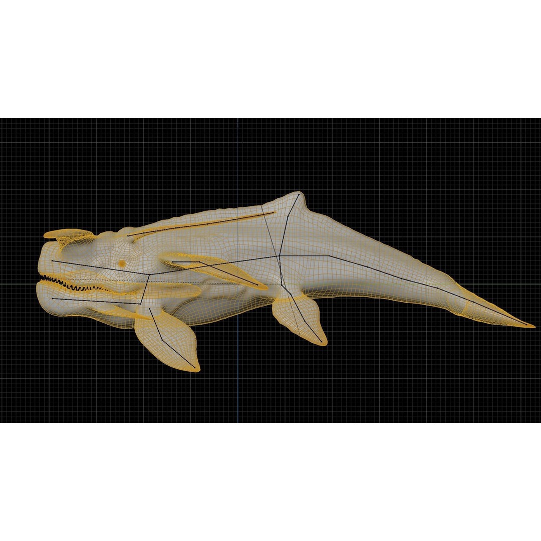 Alien Whale Creature 3D Model – Low Poly Rigged Animation, FBX - View 20