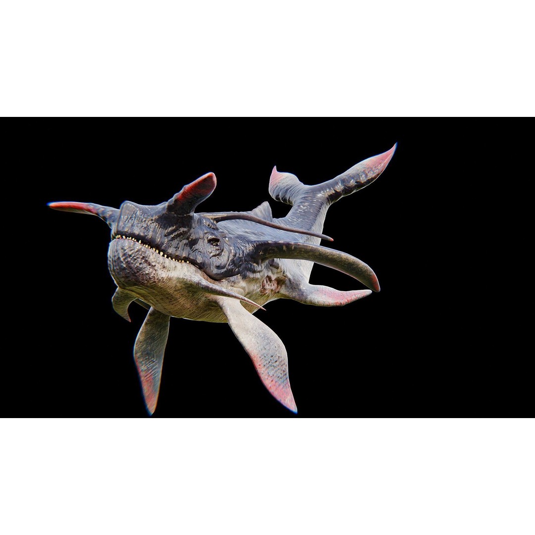 Alien Whale Creature 3D Model – Low Poly Rigged Animation, FBX - View 26