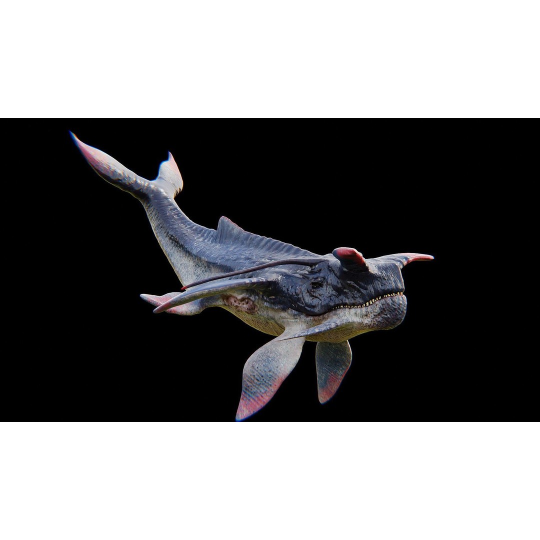 Alien Whale Creature 3D Model – Low Poly Rigged Animation, FBX - View 27