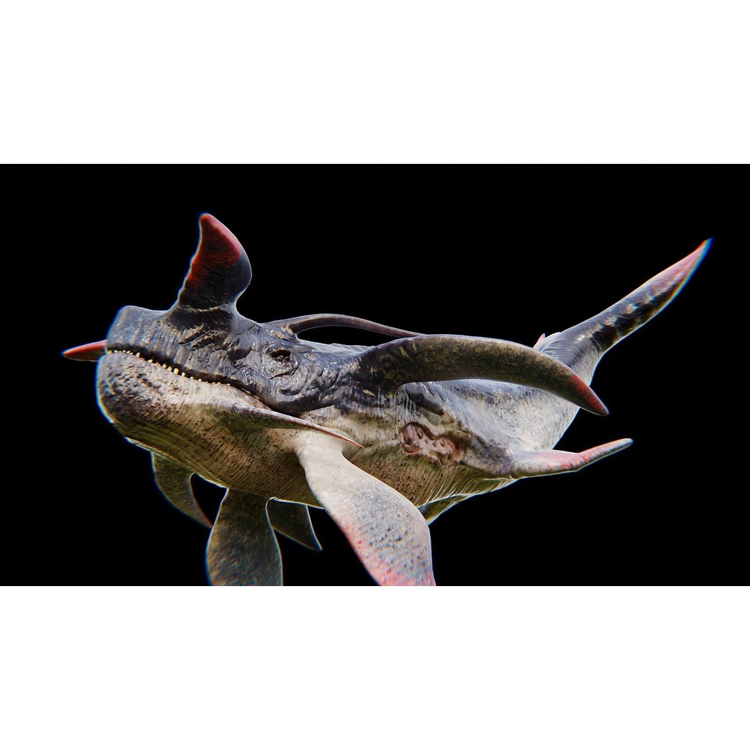 Alien Whale Creature 3D Model – Low Poly Rigged Animation, FBX - View 29