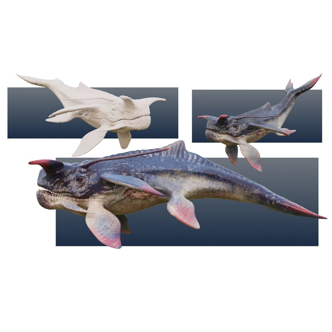 Alien Whale Creature 3D Model – Low Poly Rigged Animation, FBX - View 3