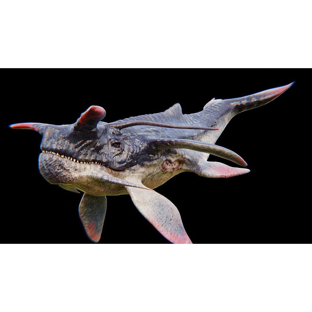 Alien Whale Creature 3D Model – Low Poly Rigged Animation, FBX - View 32
