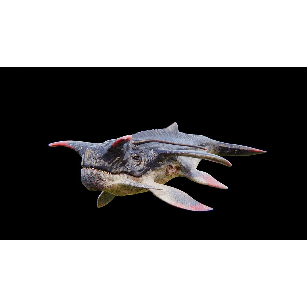 Alien Whale Creature 3D Model – Low Poly Rigged Animation, FBX - View 33