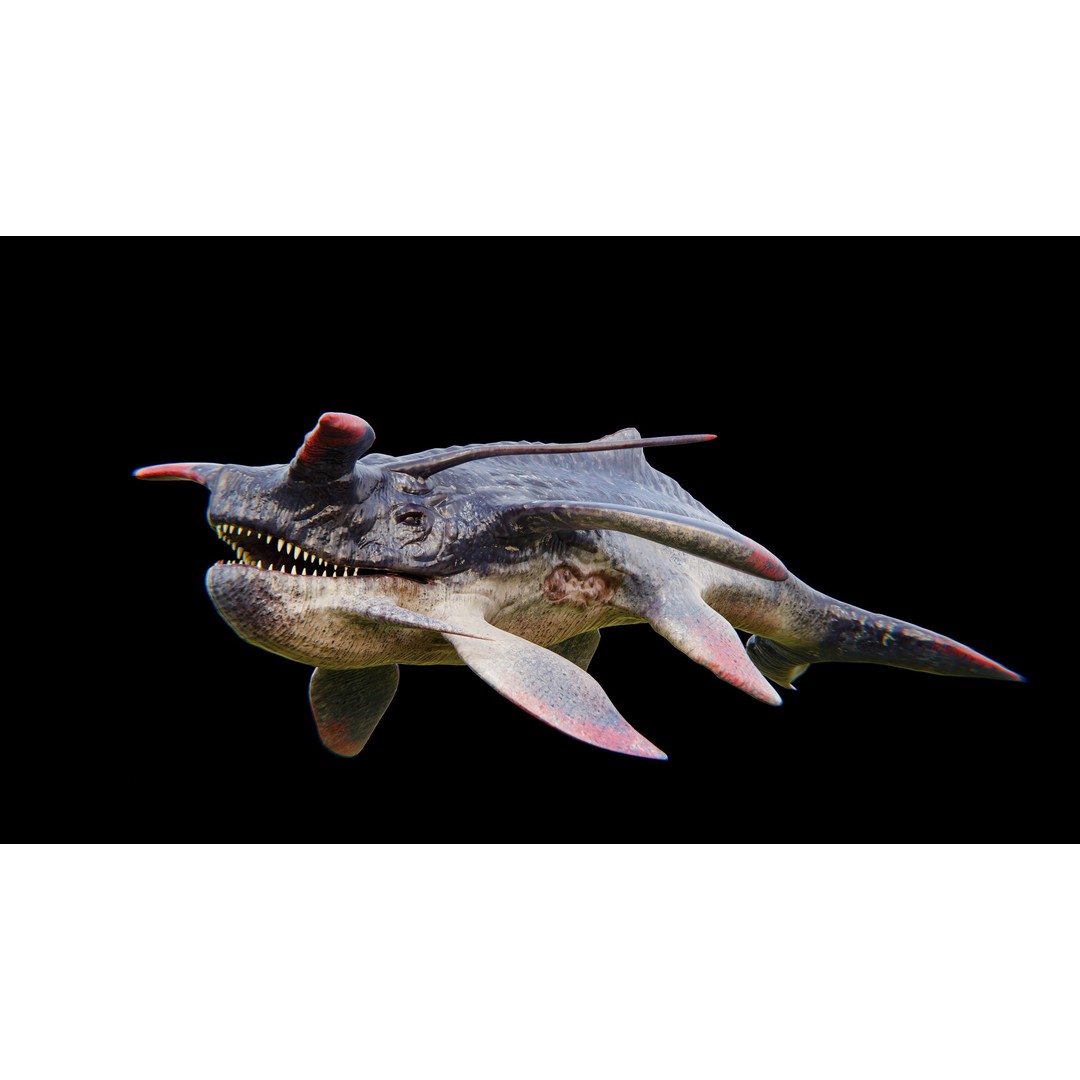 Alien Whale Creature 3D Model – Low Poly Rigged Animation, FBX - View 5