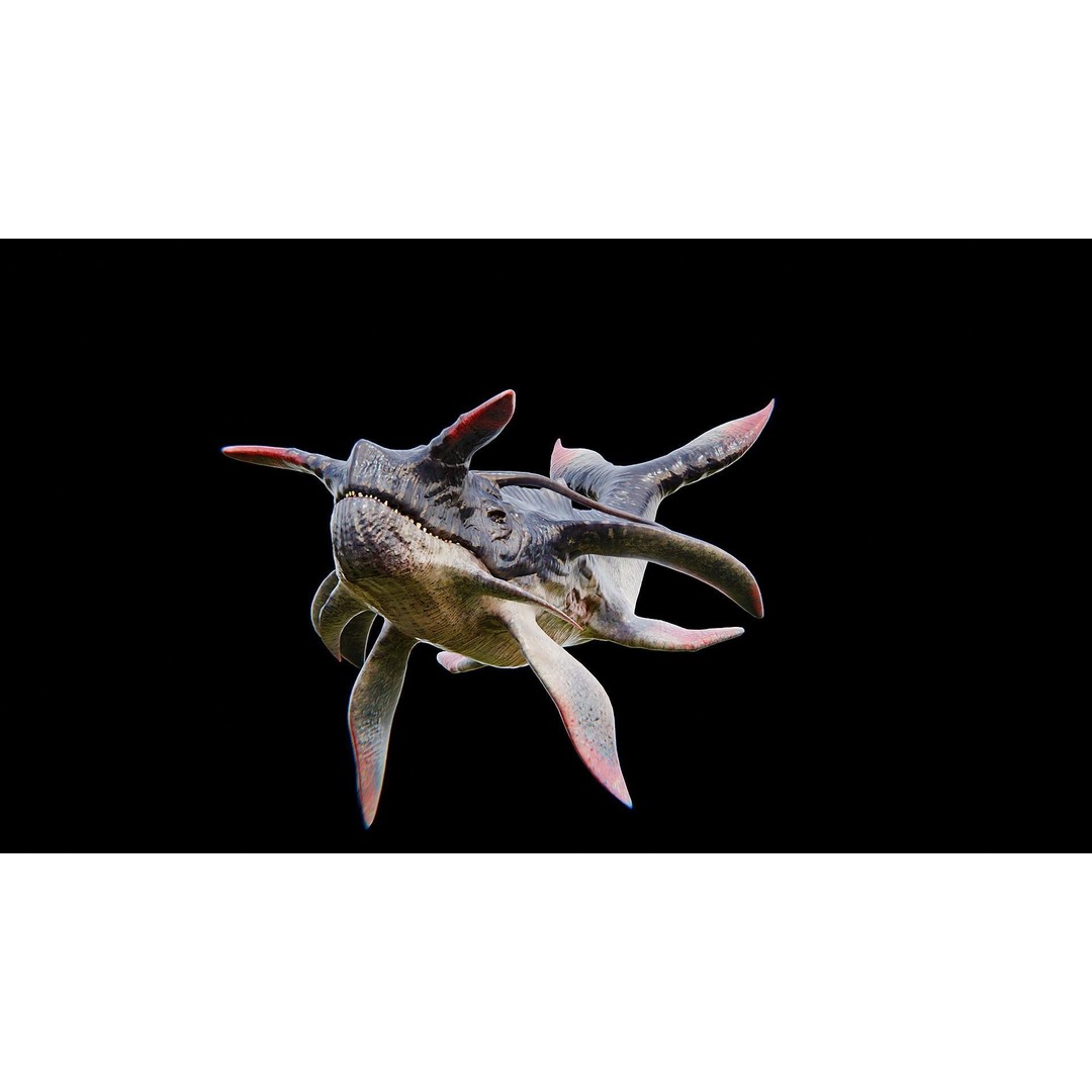 Alien Whale Creature 3D Model – Low Poly Rigged Animation, FBX - View 7