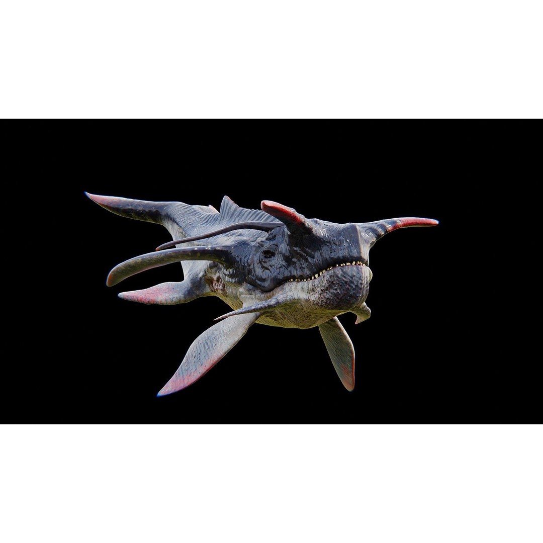 Alien Whale Creature 3D Model – Low Poly Rigged Animation, FBX - View 8