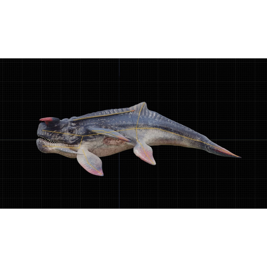 Alien Whale Creature 3D Model – Low Poly Rigged Animation, FBX - View 9