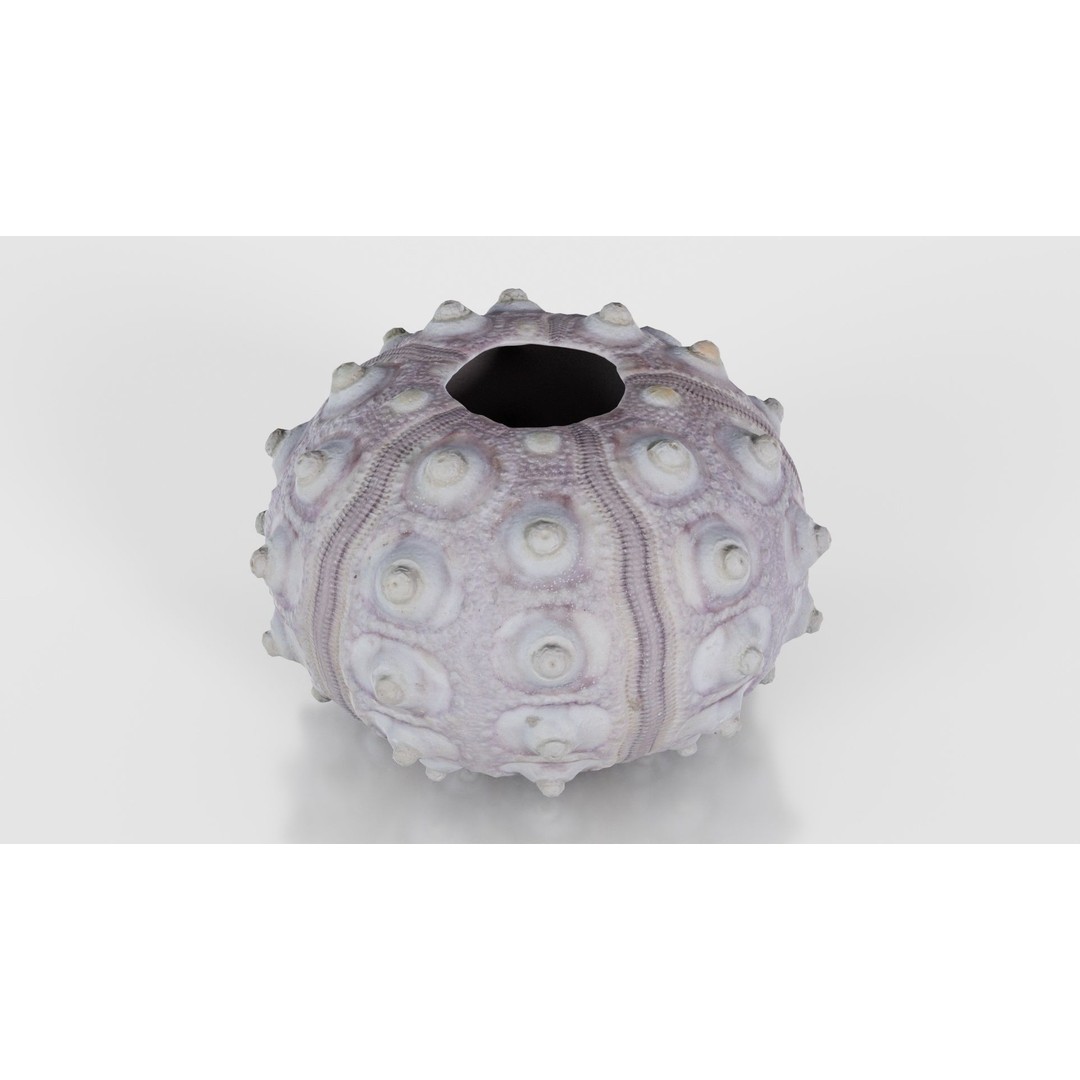 Sputnik Sea Urchin 3D Model – Low Poly Game Asset, FBX, Blender