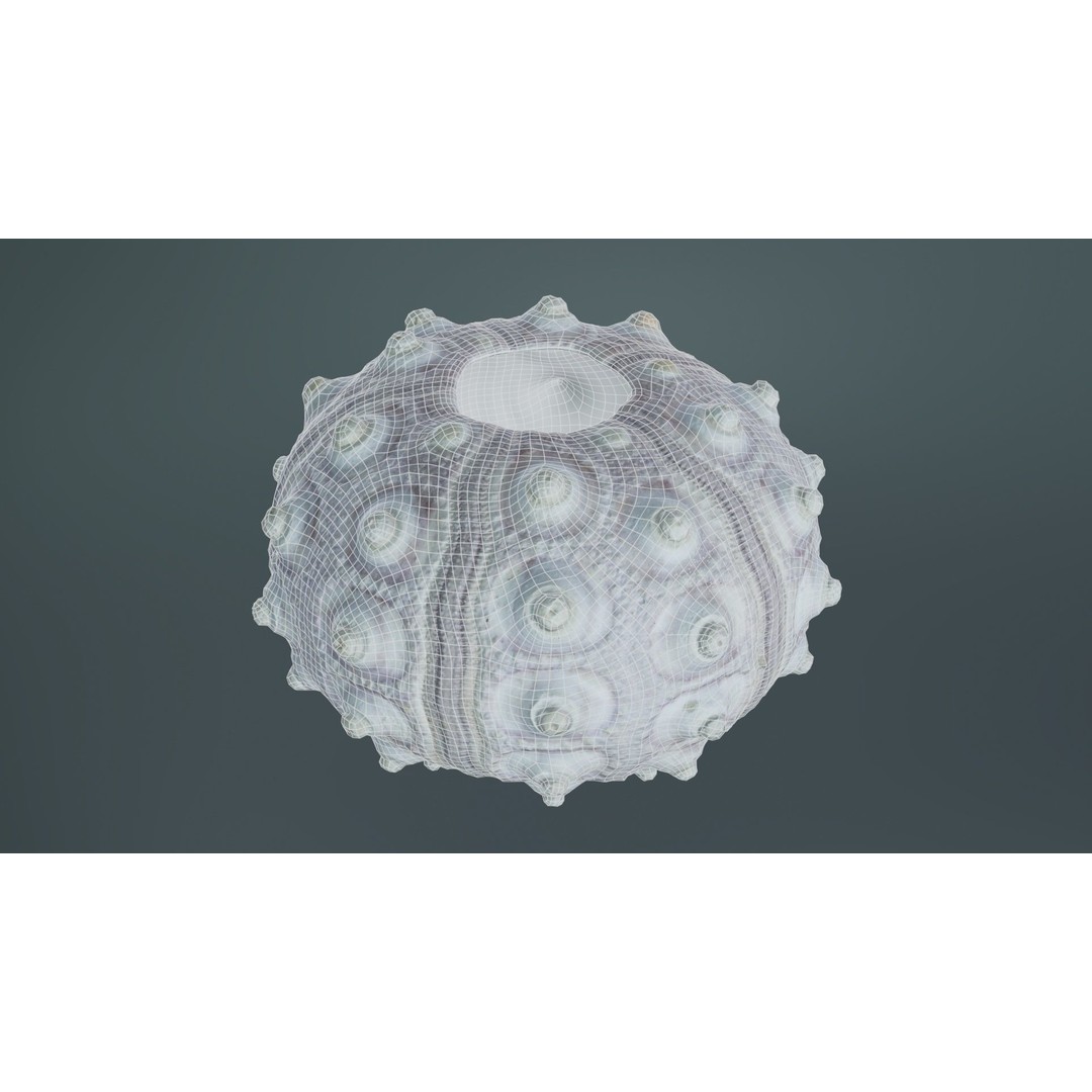 Sputnik Sea Urchin 3D Model – Low Poly Game Asset, FBX, Blender - View 11