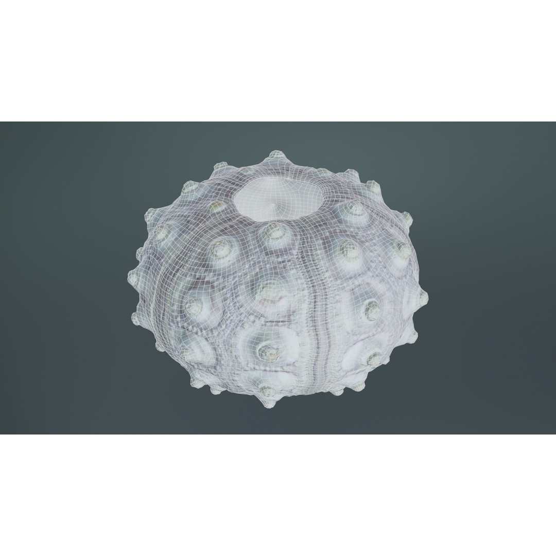Sputnik Sea Urchin 3D Model – Low Poly Game Asset, FBX, Blender - View 12