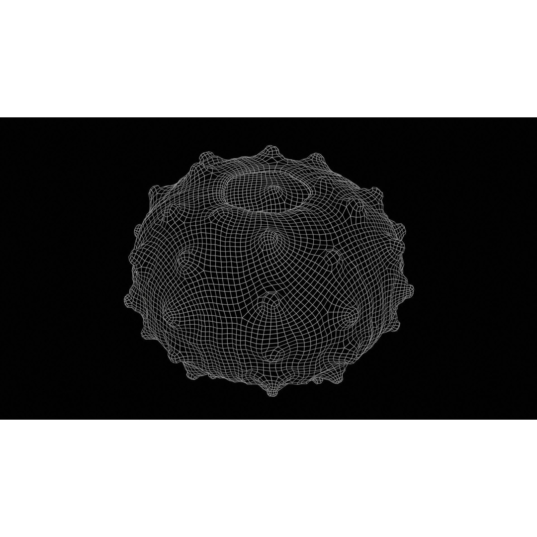 Sputnik Sea Urchin 3D Model – Low Poly Game Asset, FBX, Blender - View 13